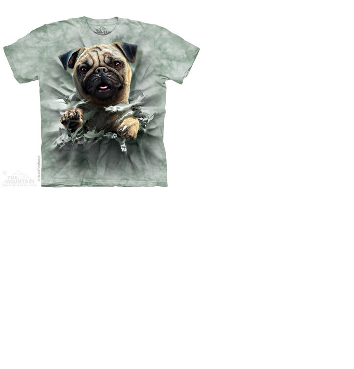 pug child pug breakthru child dedoles pug child pug breakthru child dedoles
